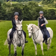 Castle & Estate Ride, Ireland, Globetrotting Horse Riding Holidays