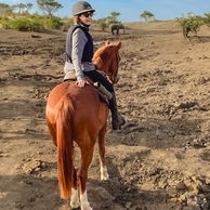 Tuli Safari, Botswana, Globetrotting Horse Riding Holidays