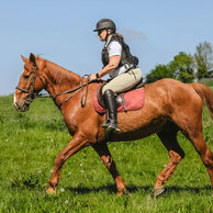 Cross Country in Tipperary, Ireland, Globetrotting Horse Riding Holidays