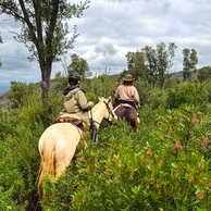 Tuscany, Italy, Globetrotting Horse Riding Holidays
