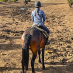 Tuli Safari, Botswana, Globetrotting Horse Riding Holidays