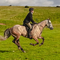 The Scottish Borders Ride, Scotland, Globetrotting Horse Riding Holidays