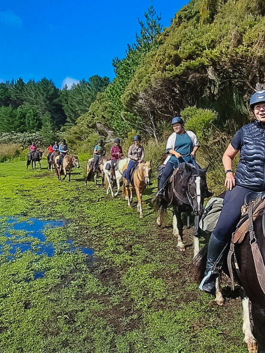 Twin Coast Adventure, New Zealand, Globetrotting Horse Riding Holidays