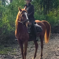 The Shoalhaven Ride, Australia, Globetrotting Horse Riding Holiday