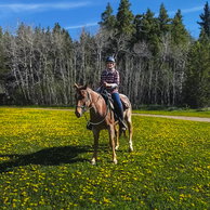 Rocky Mountains Ride, Canada, Globetrotting Horse Riding Holidays