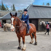 Castle & Estate, Ireland, Globetrotting Horse Riding Holidays