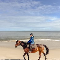 The Margaret River Ride, Australia, Globetrotting Horse Riding Holidays