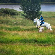 Castle & Estate Ride, Ireland, Globetrotting Horse Riding Holidays