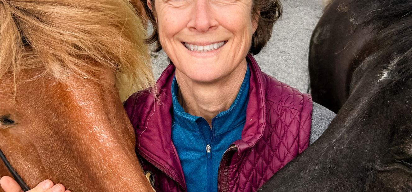 Touch of the Highlands Ride, Iceland