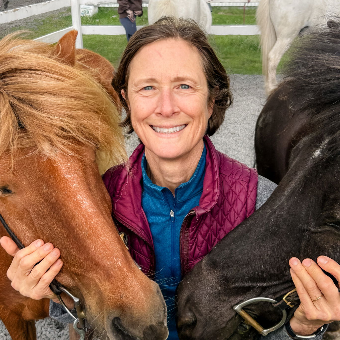 Touch of the Highlands Ride, Iceland