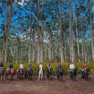 The Margaret River Ride, Australia, Globetrotting Horse Riding Holidays