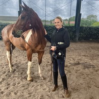 Bordeaux Wine Trail, France, Globetrotting Horse Riding Holidays