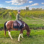 Bordeaux Wine Trail, France, Globetrotting Horse Riding Holidays