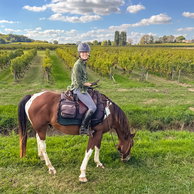 Bordeaux Wine Trail, France, Globetrotting Horse Riding Holidays