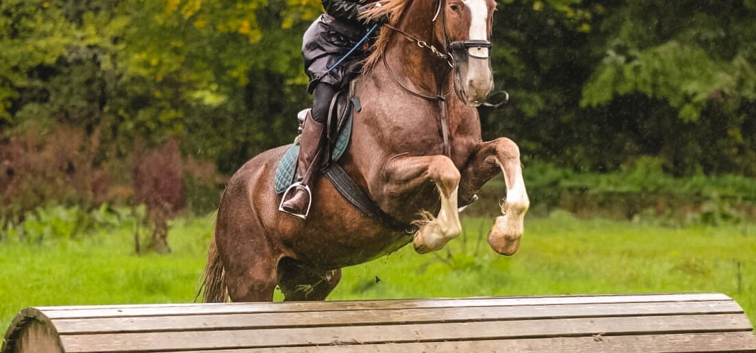 Cross Country in Tipperary, Ireland, Globertotting Horse Riding Holidays
