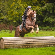 Cross Country in Tipperary, Ireland, Globertotting Horse Riding Holidays