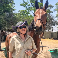 The Okavango Delta Ride, Botswana, Globetrotting Horse Riding Holidays