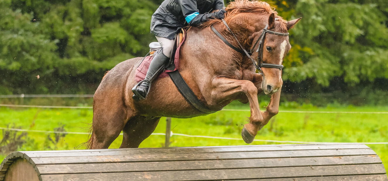 Cross Country in Tipperary, Ireland, Globetrotting Horse Riding Holidays