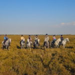 The Camargue Ride, France, Globetrotting Horse Riding Holidays