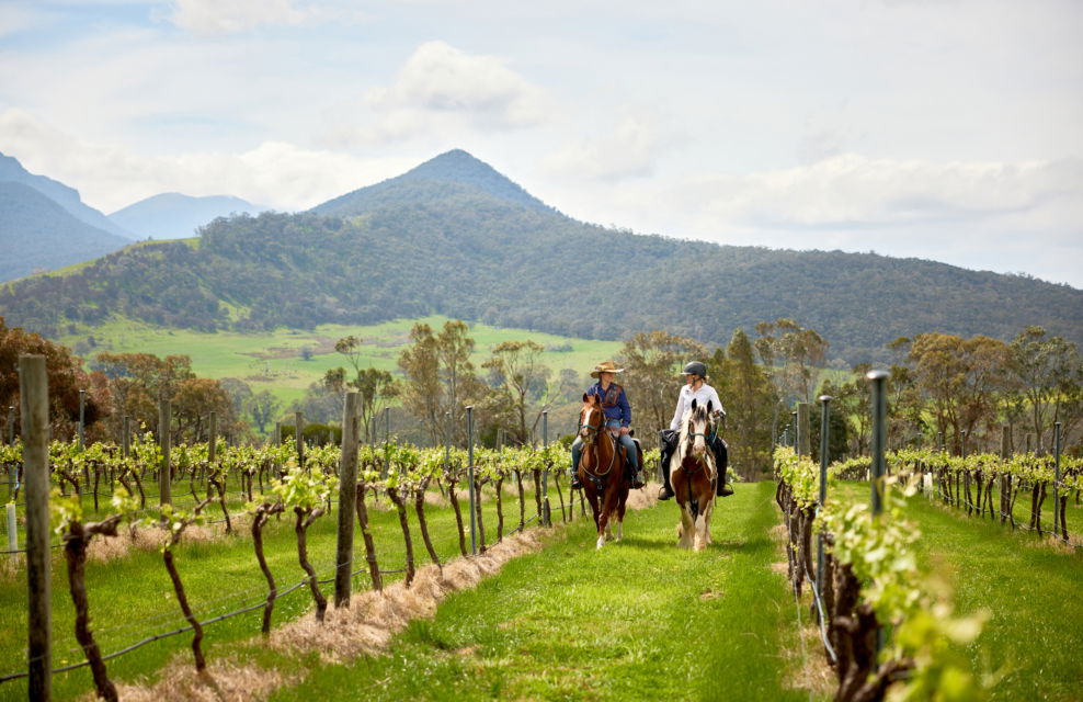 Is your partner a beginner rider? Globetrotting horse riding holidays