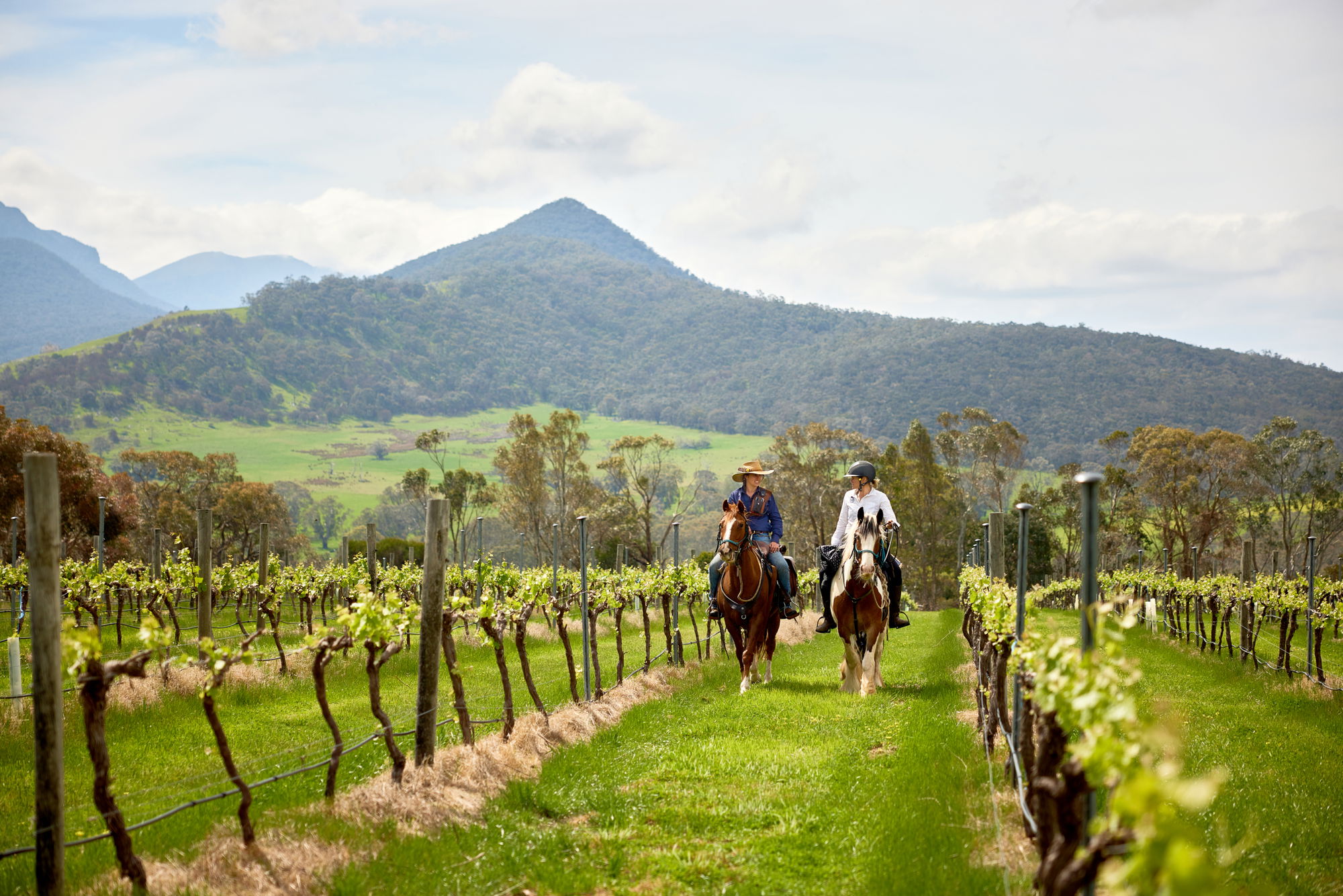Is your partner a beginner rider? Globetrotting horse riding holidays