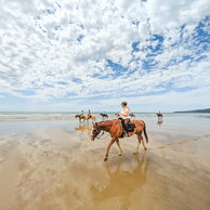 The Tassie Ride, Australia, Globetrotting Horse Riding Holidays