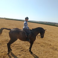 Philippa C. - English Rose Ride, England