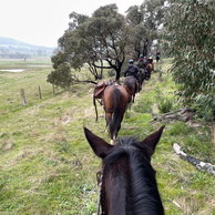 Amy B. - The Grampians Ride, Australia