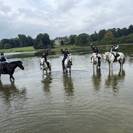 Marie L. - Castle & Estate Ride, Ireland