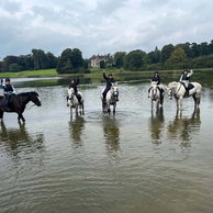 Teresa M. - Castle & Estate Ride, Ireland