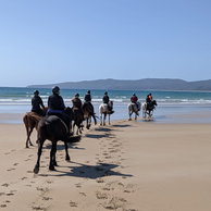 Molly M. - The Tassie Ride, Australia