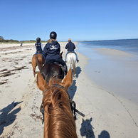 Trudy M. - The Margaret River Ride, Australia