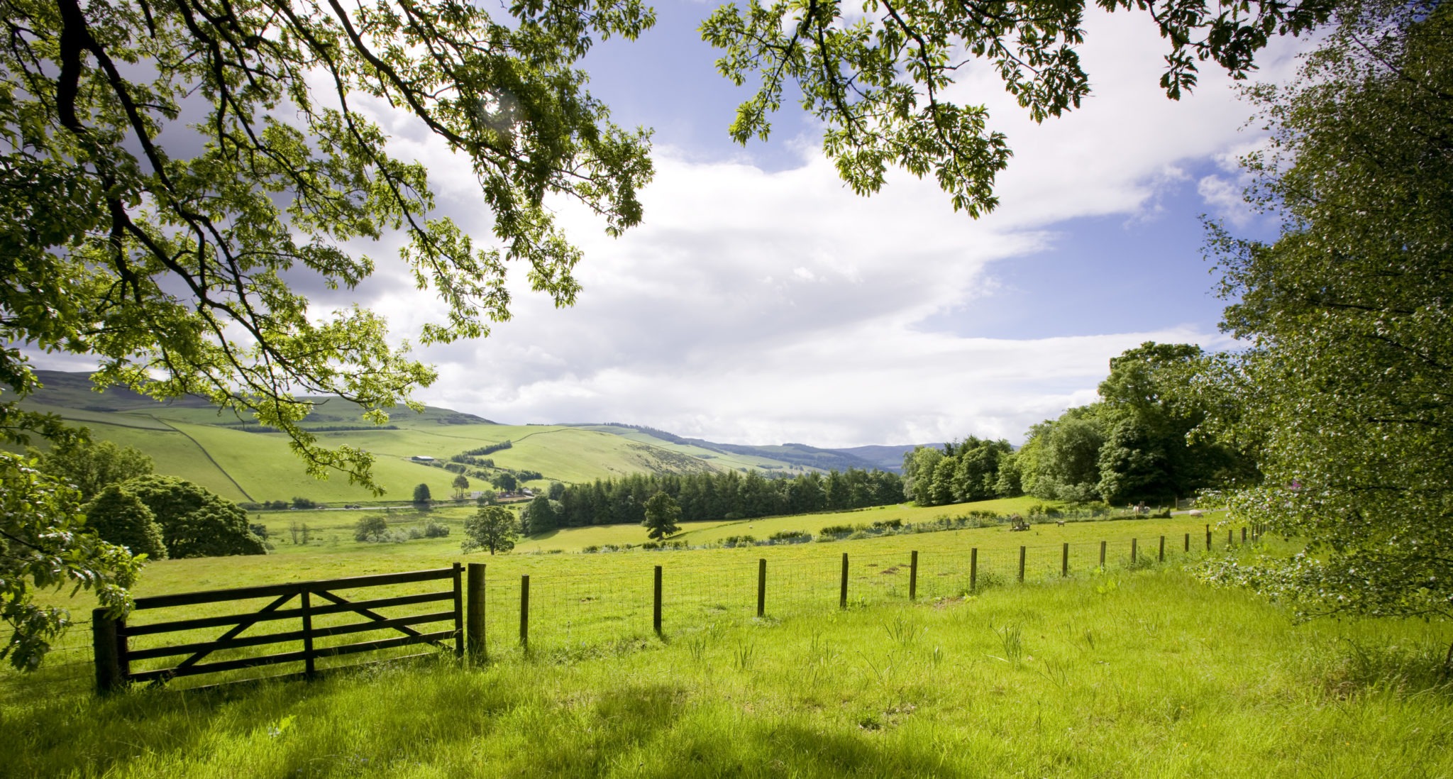 horse riding holiday in the Scottish Borders, Scotland