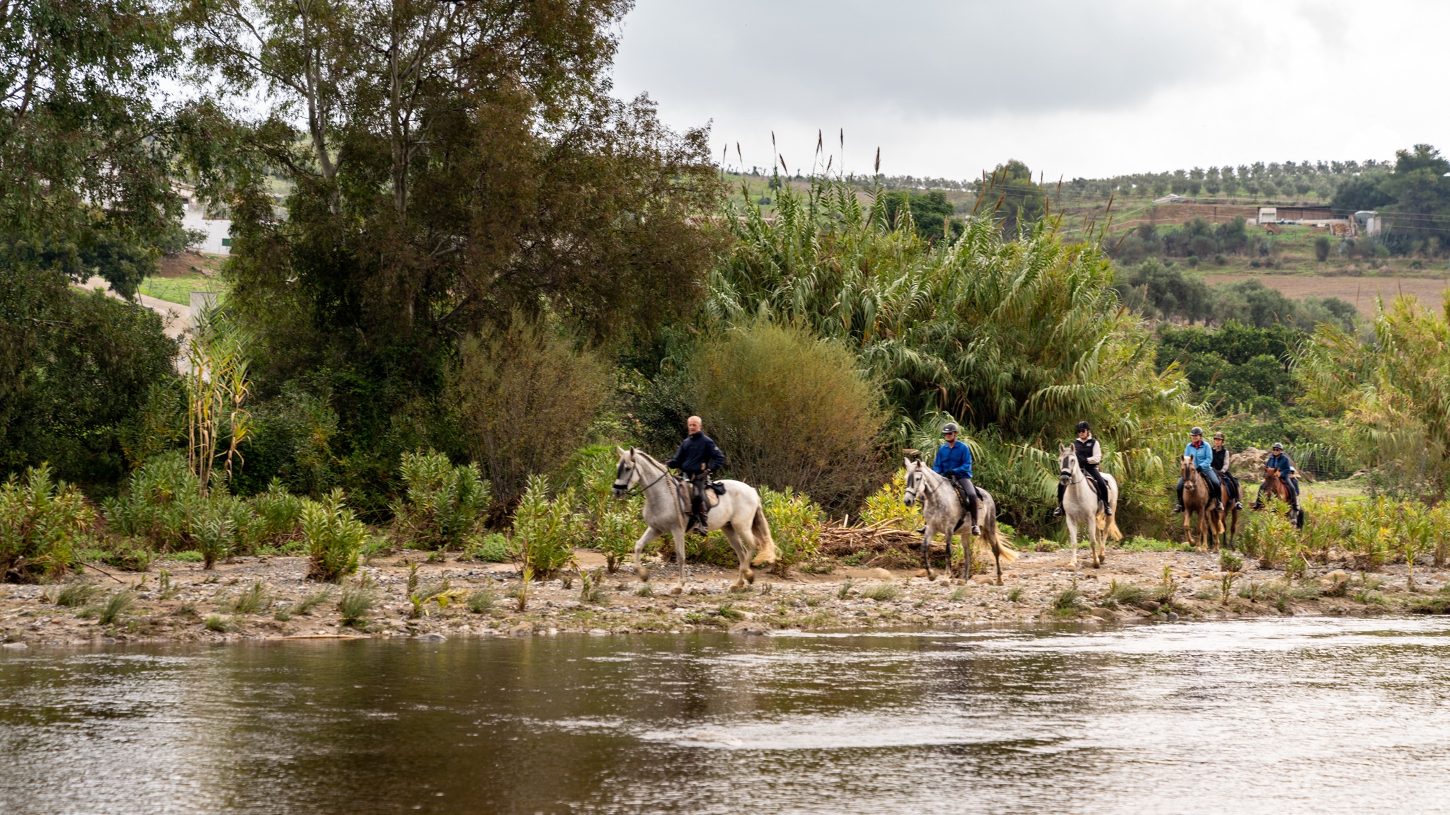 horse riding holiday in Andalusia, Spain