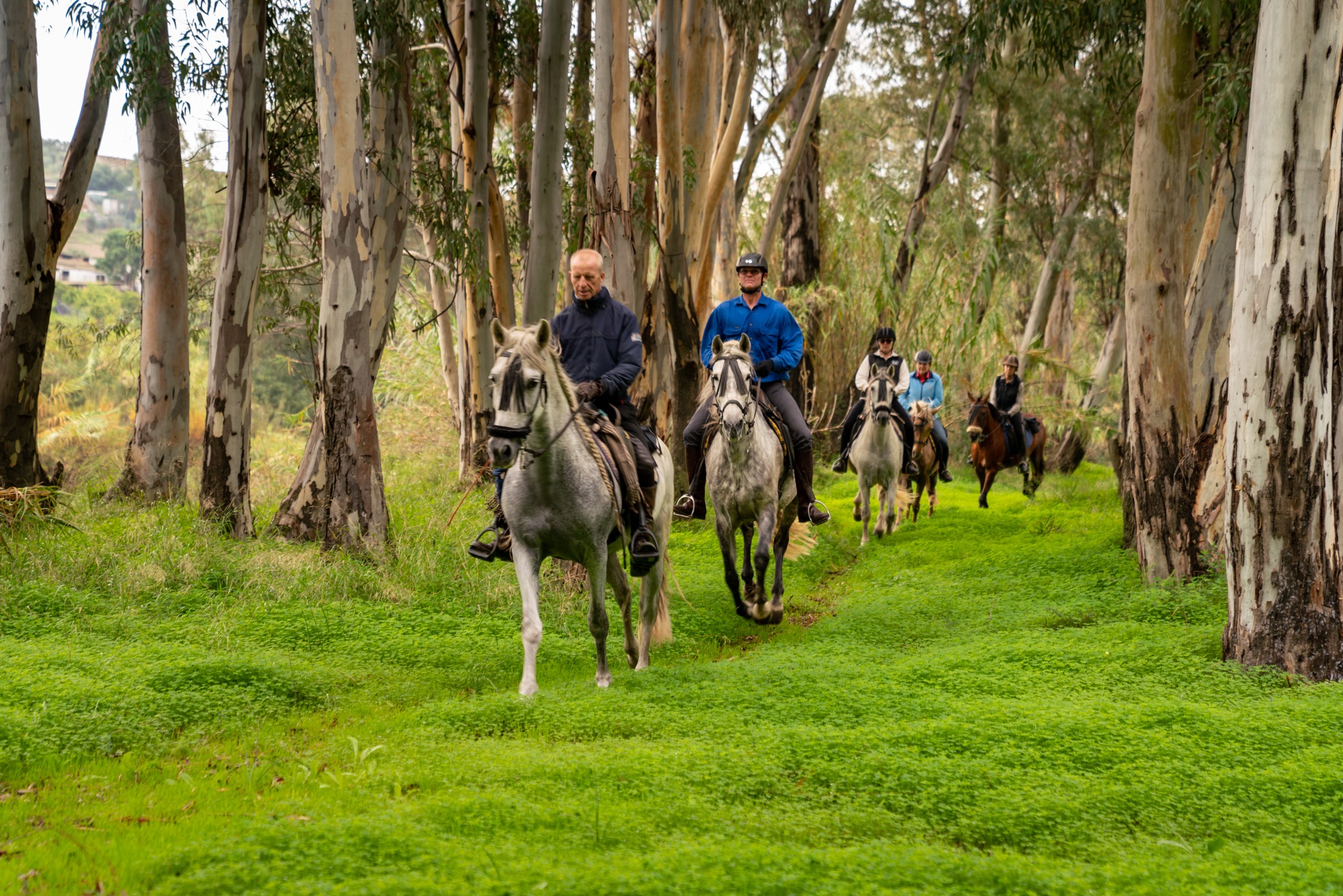 horse riding holiday in Andalusia, Spain