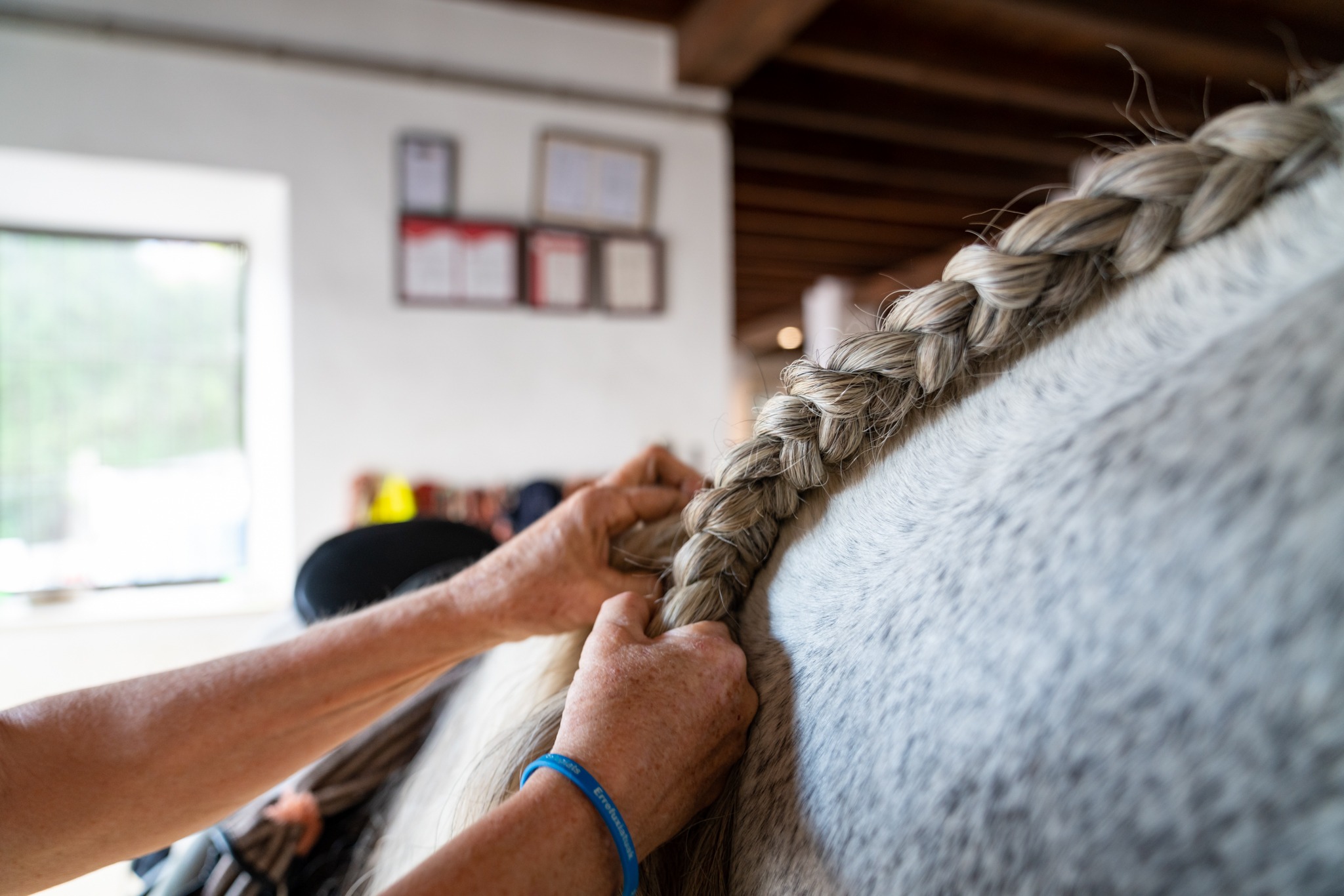 horse riding holiday in Andalusia, Spain