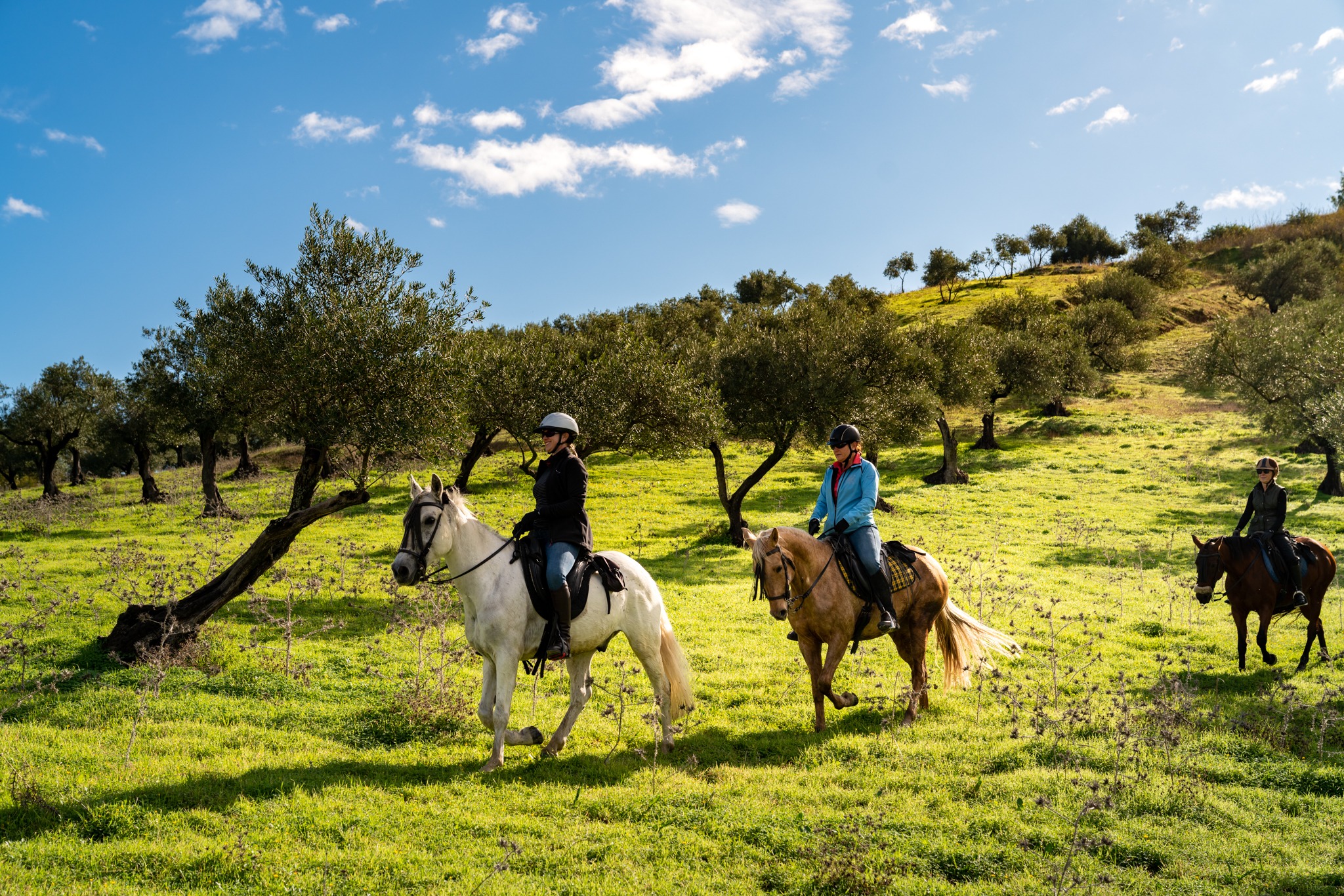 horse riding holiday in Andalusia, Spain