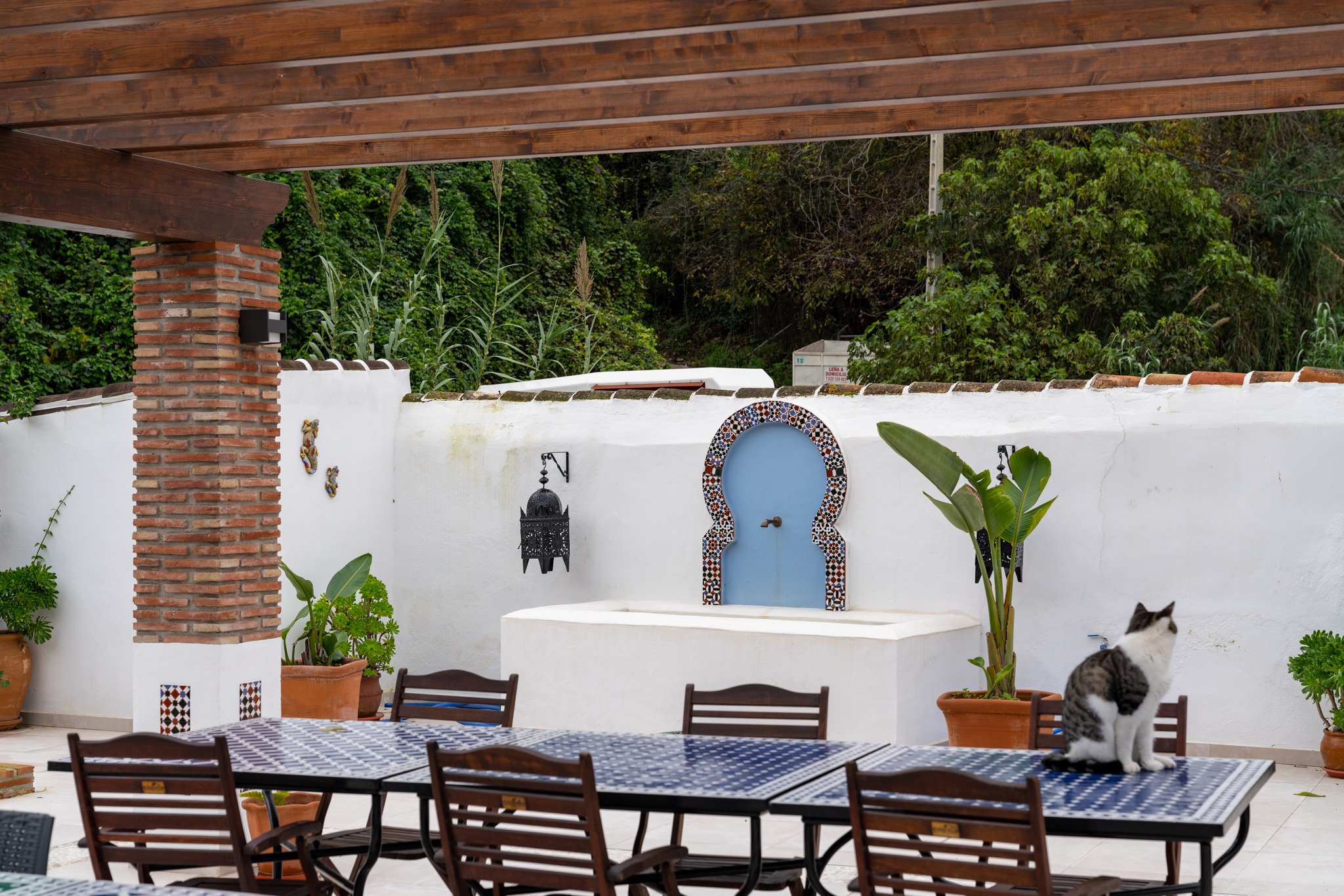 horse riding holiday in Andalusia, Spain