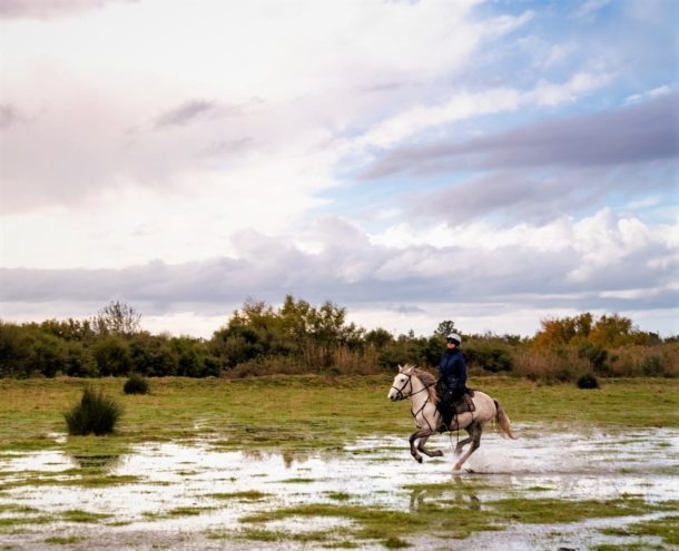 Globetrotting horse riding holiday in The Camargue, France