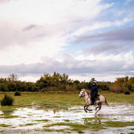 Globetrotting horse riding holiday in The Camargue, France