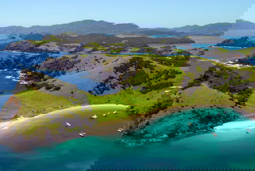 A Day Spent in Paihia - Base Backpackers Paihia - Globetrotting horse riding holidays