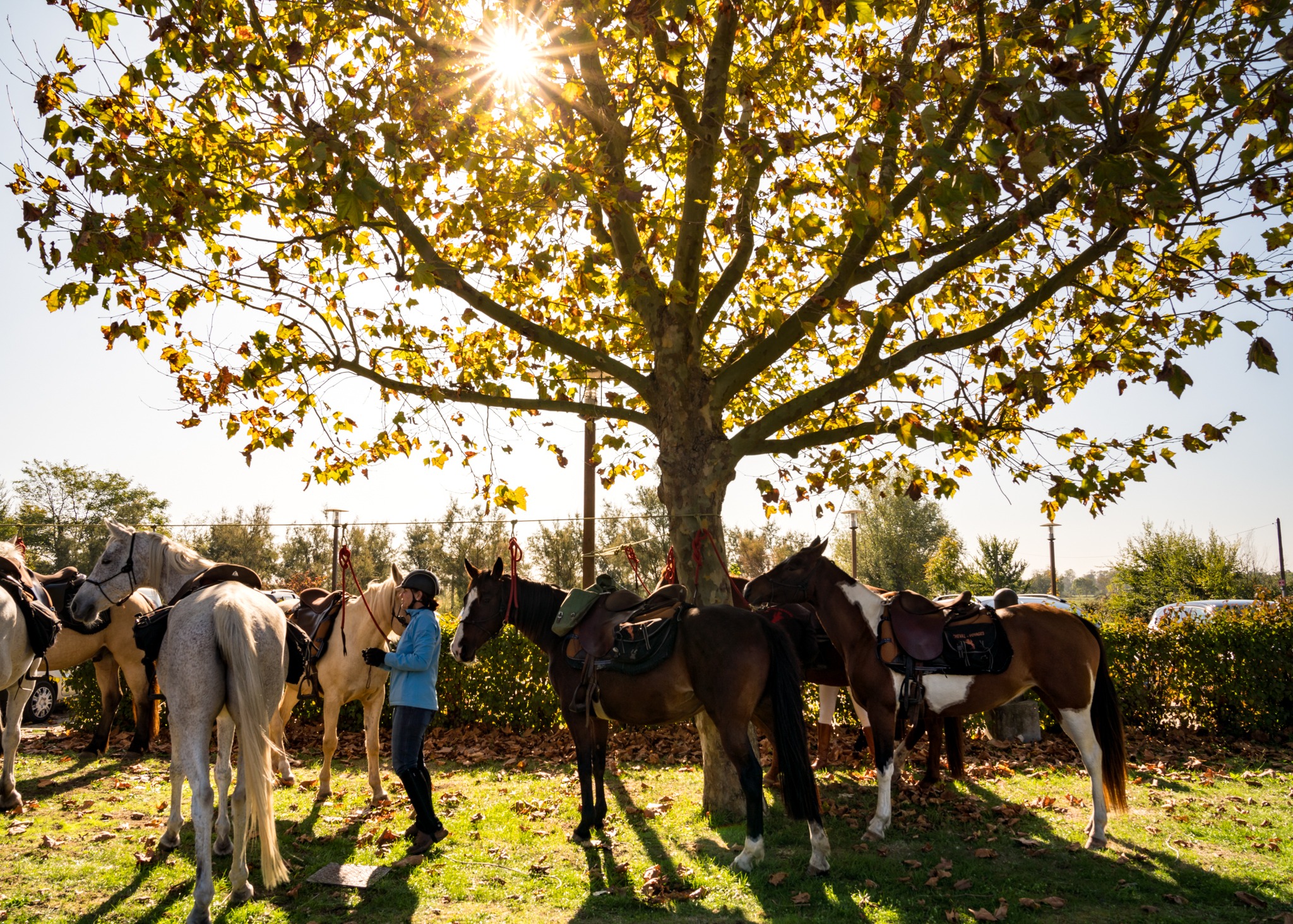 horse riding holiday in Bordeaux, France