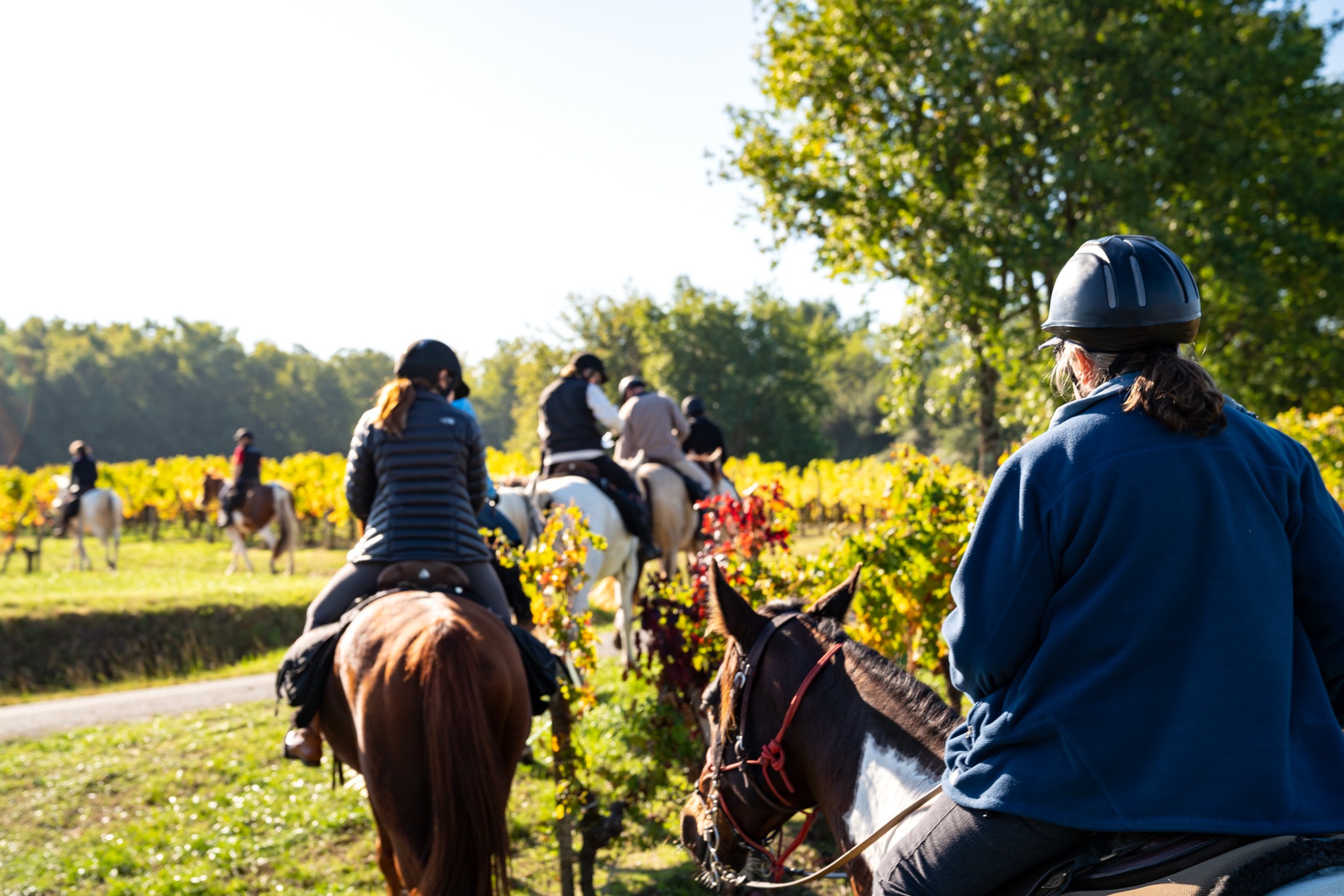 horse riding holiday in Bordeaux, France