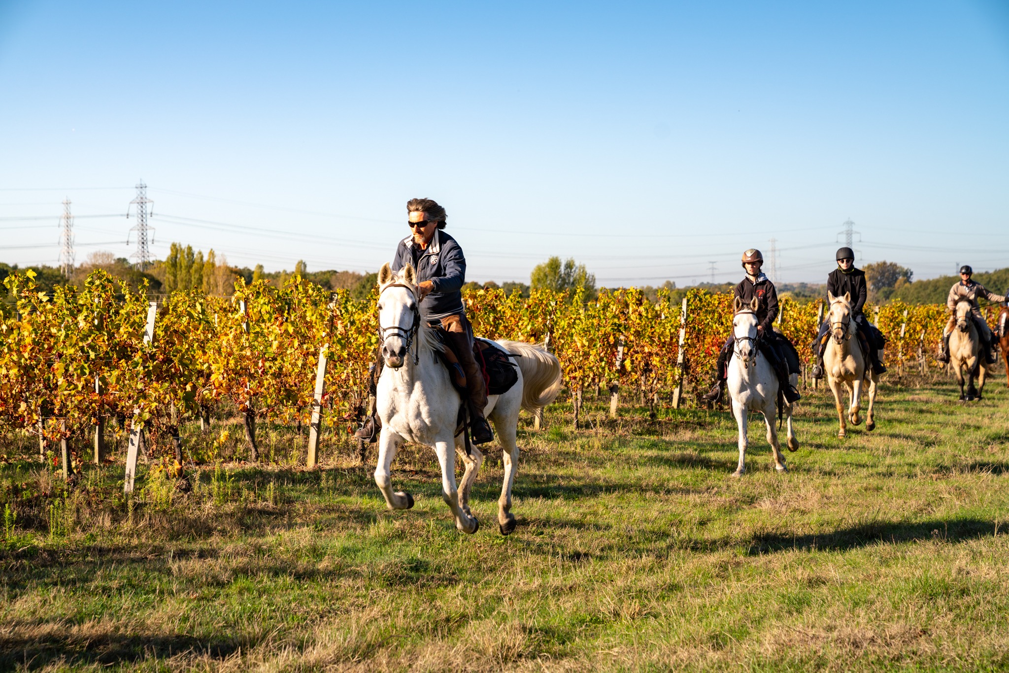 horse riding holiday in Bordeaux, France