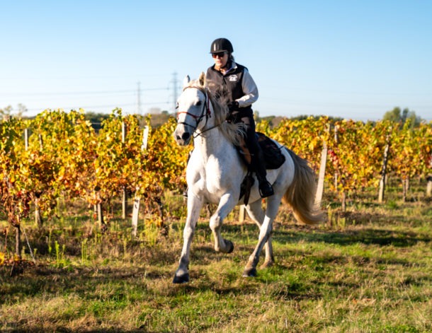 Bordeaux Wine Trail, France - Globetrotting horse riding holidays