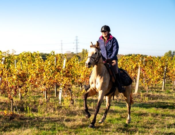 Bordeaux Wine Trail, France - Globetrotting horse riding holidays