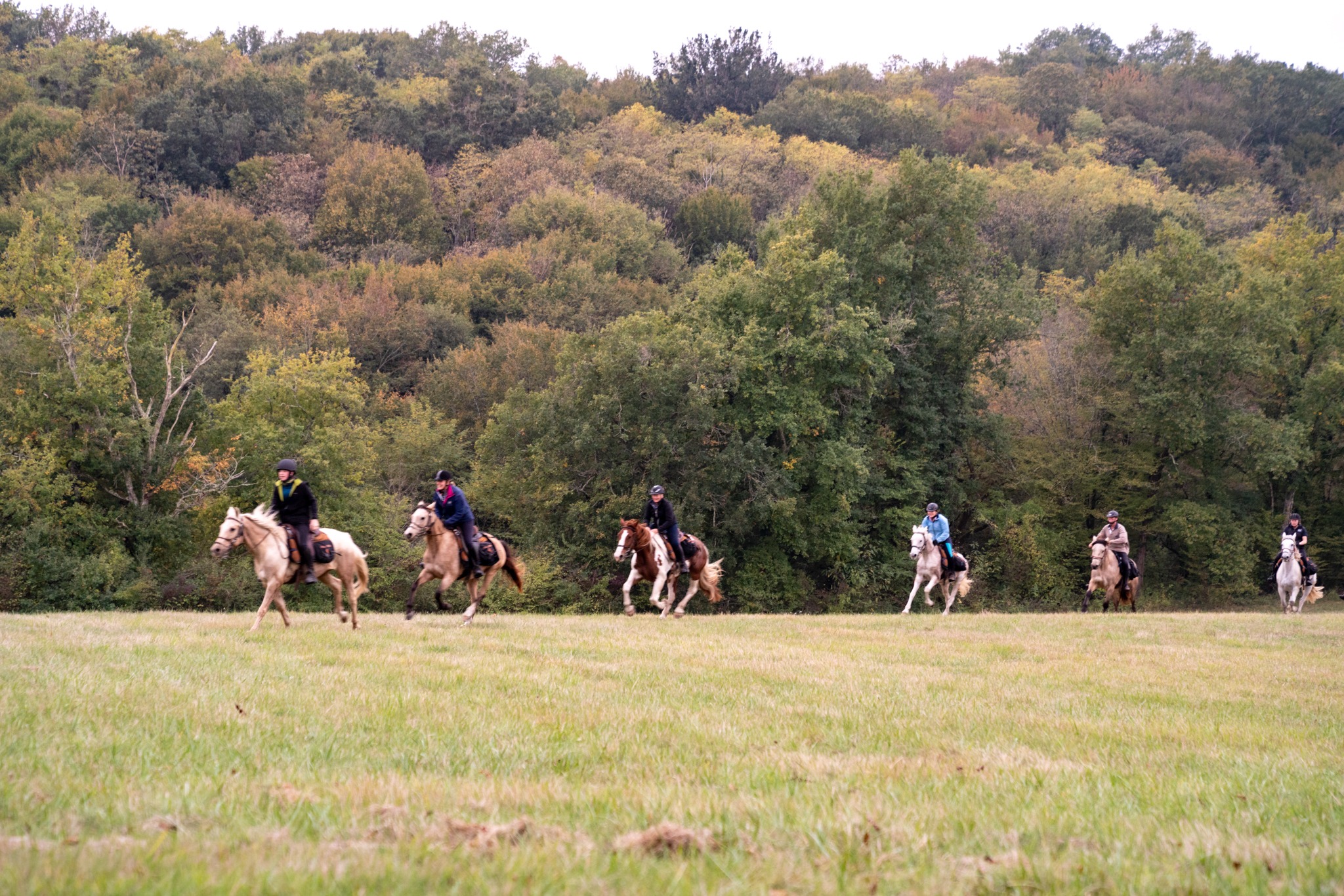 horse riding holiday in Bordeaux, France