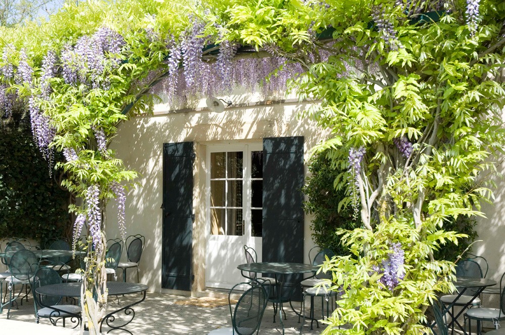 horse riding holiday in Camargue, France
