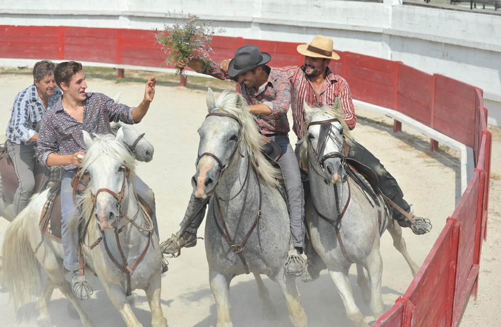 horse riding holiday in Camargue, France