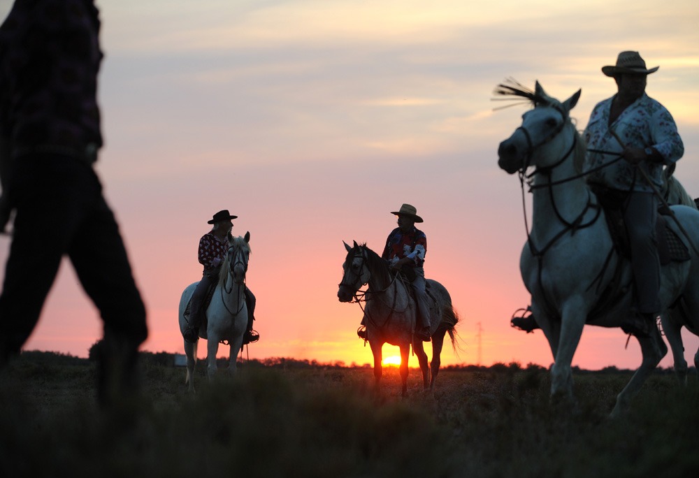 horse riding holiday in Camargue, France